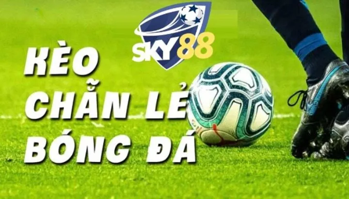 Chia sẻ kinh nghiệm soi Kèo chẵn lẻ Sky88 dễ ăn